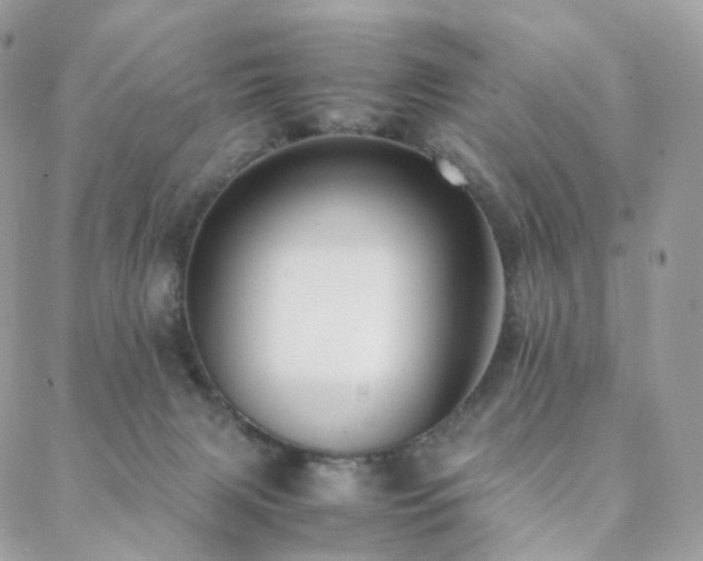 X0000088400079200705221133