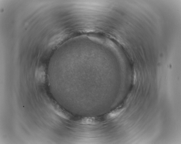 X0000088400080200705221133