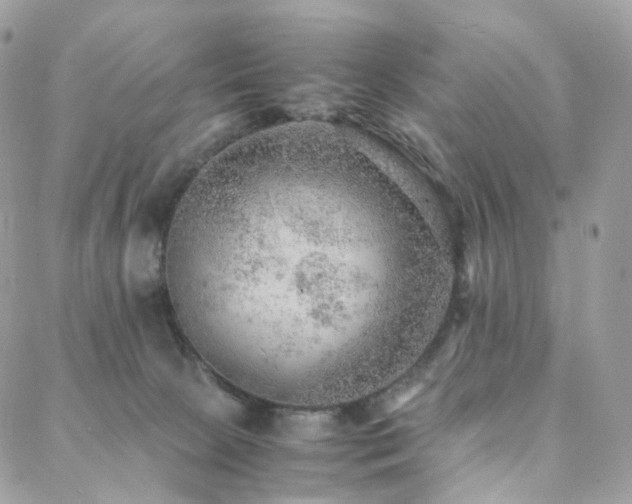 X0000088400081200705221133