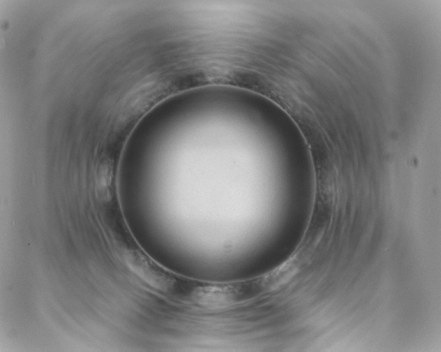 X0000088400082200705221133