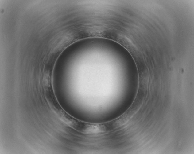 X0000088400083200705221133