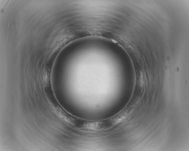 X0000088400084200705221133