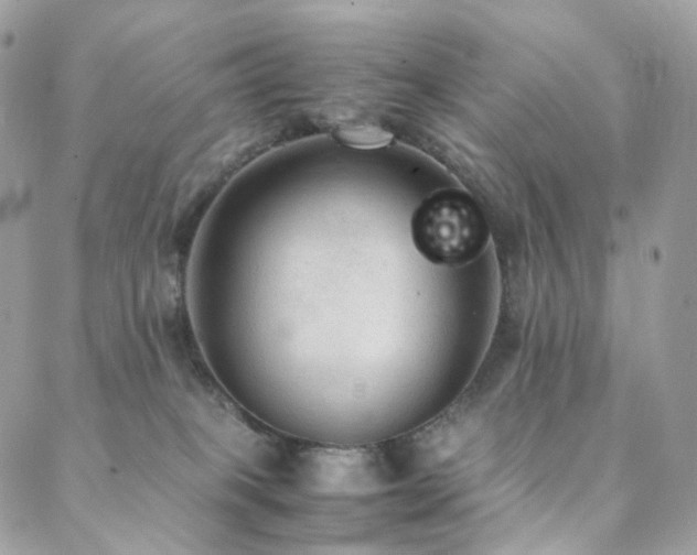 X0000088400085200705221133