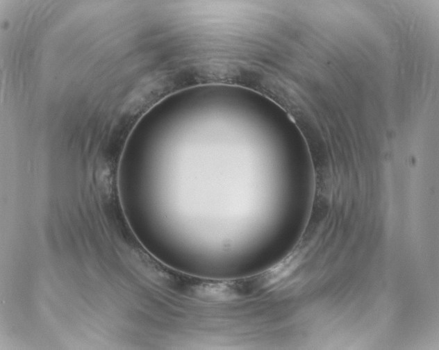 X0000088400086200705221133