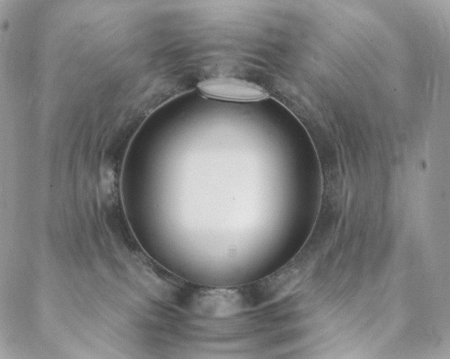 X0000088400087200705221133