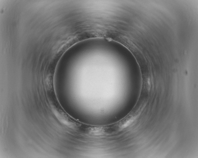 X0000088400088200705221133