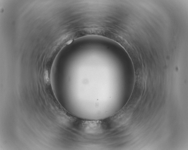 X0000088400089200705221133