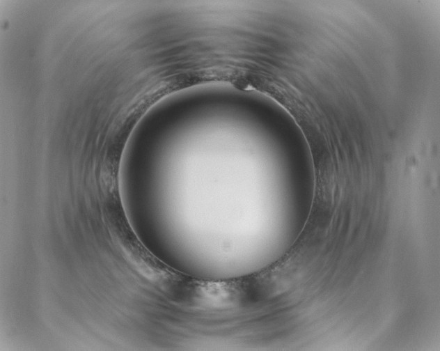 X0000088400091200705221133