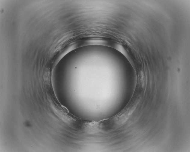 X0000088400092200705221134