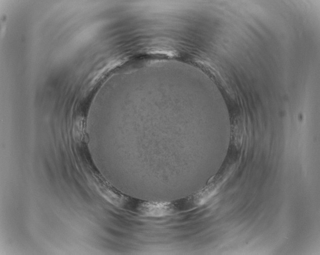 X0000088400093200705221134