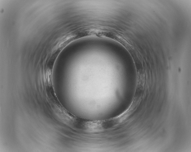 X0000088400094200705221134