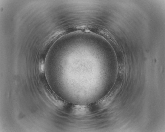 X0000088400095200705221134