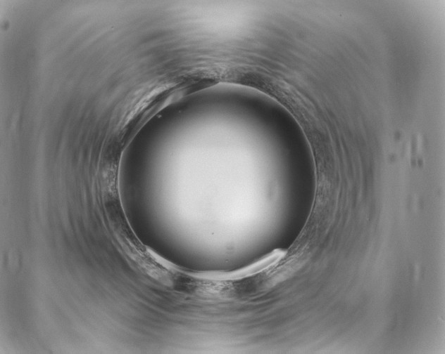 X0000088400096200705221134