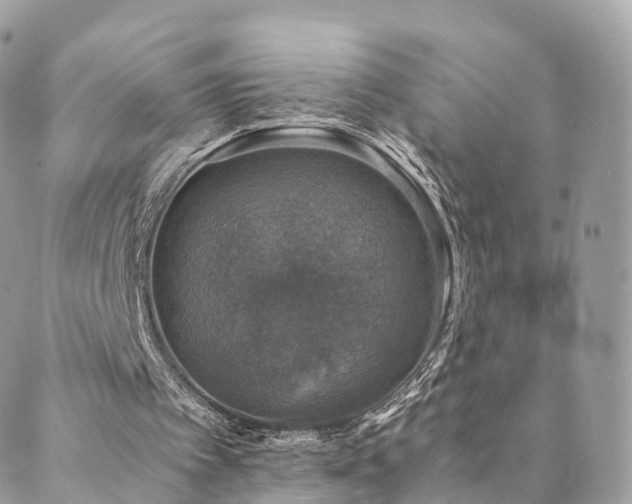 X0000088400097200705221133