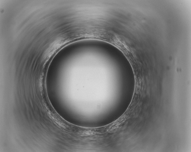 X0000088400098200705221133