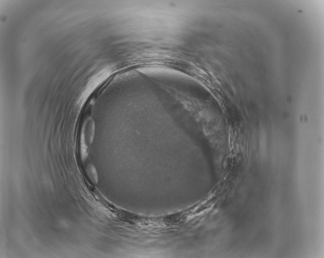 X0000088400099200705221133