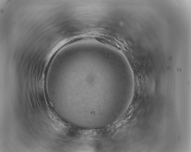 X0000088400100200705221133