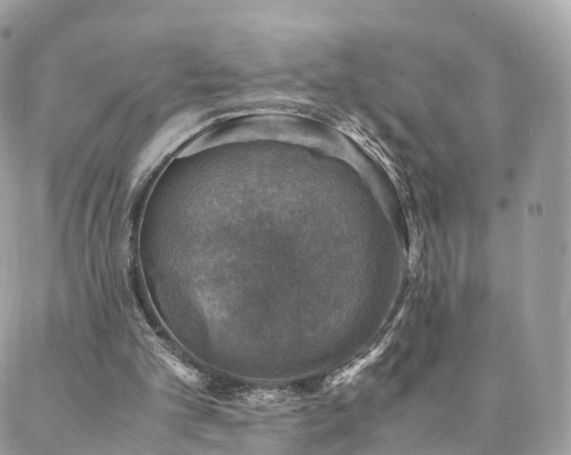 X0000088400101200705221133