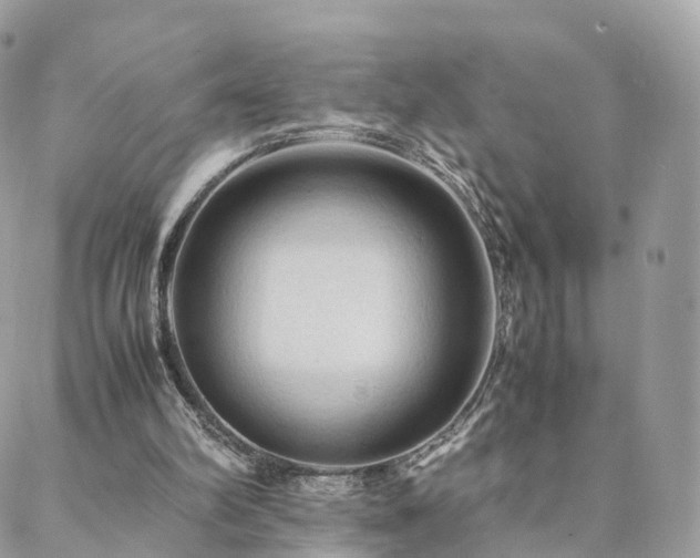 X0000088400102200705221133