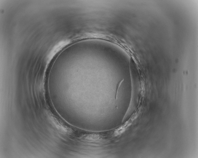 X0000088400104200705221133