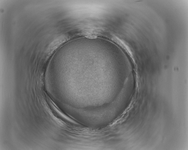 X0000088400105200705221133