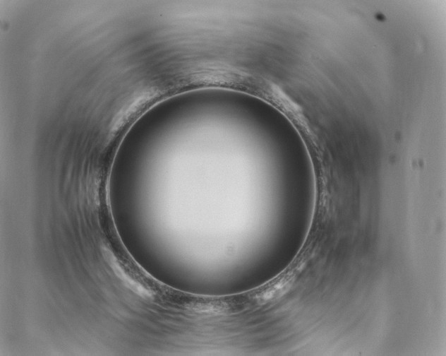 X0000088400106200705221133