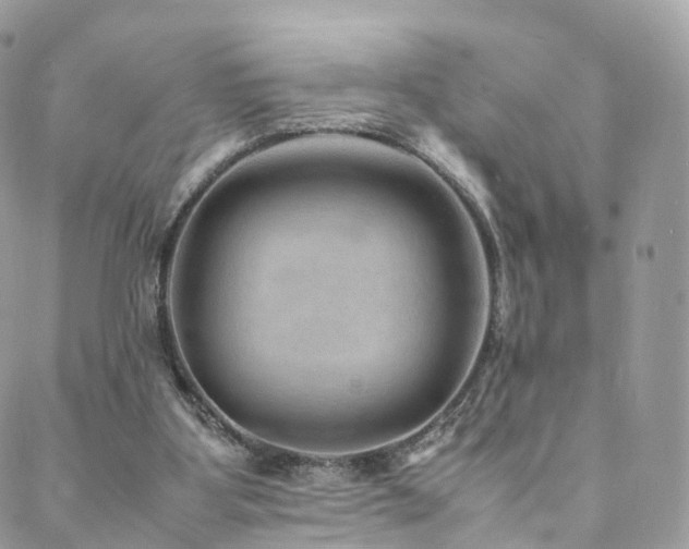 X0000088400107200705221133