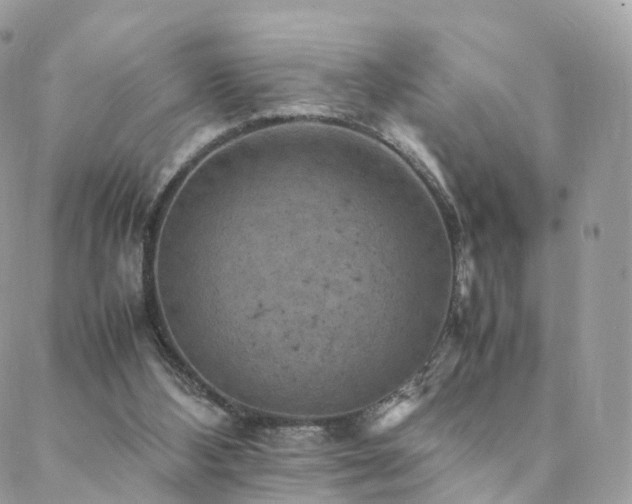 X0000088400108200705221133