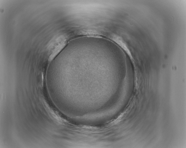 X0000088400109200705221133