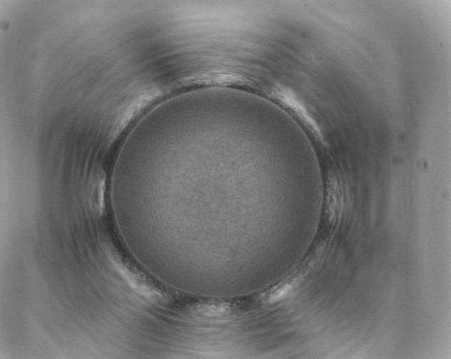 X0000088400110200705221133