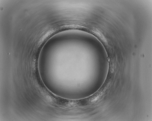 X0000088400111200705221133