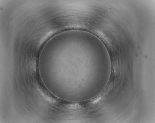 X0000088400112200705221133