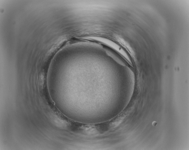 X0000088400113200705221133