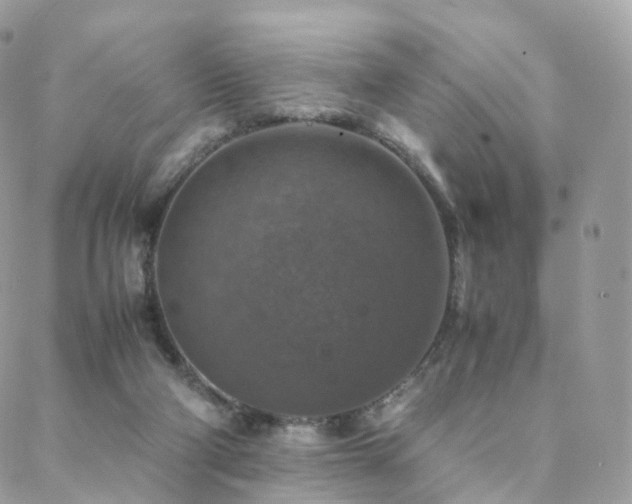 X0000088400114200705221133