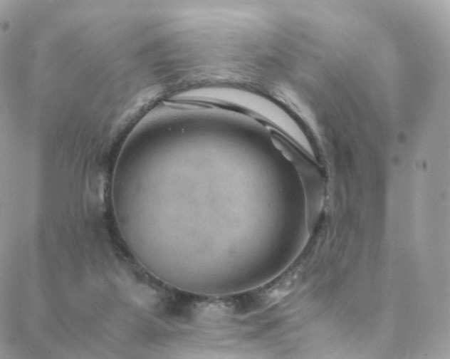 X0000088400115200705221132