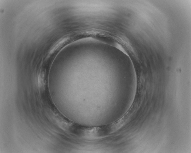 X0000088400116200705221132