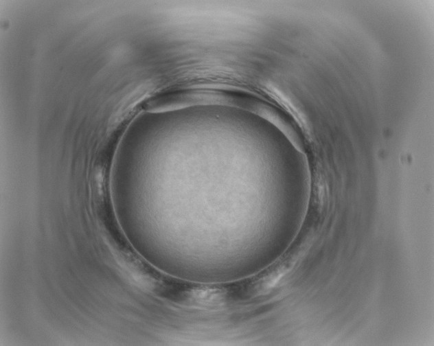 X0000088400117200705221132