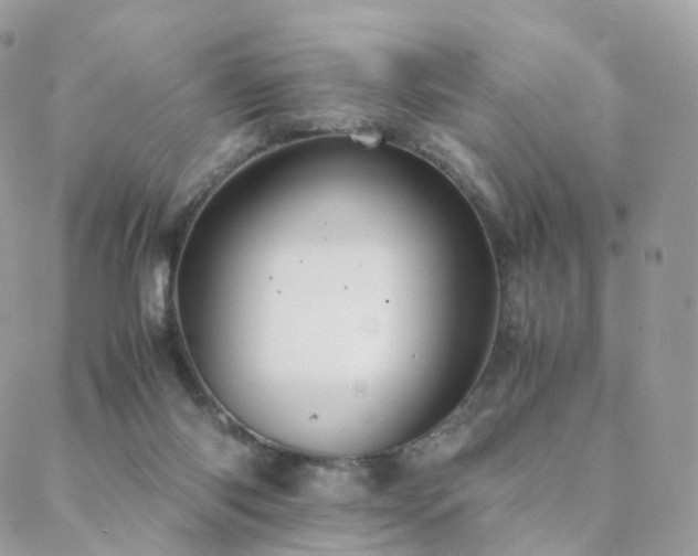 X0000088400118200705221132