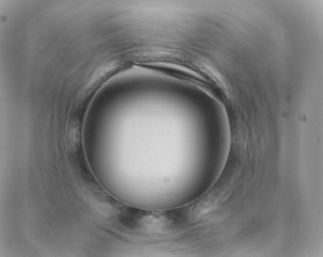 X0000088400119200705221132