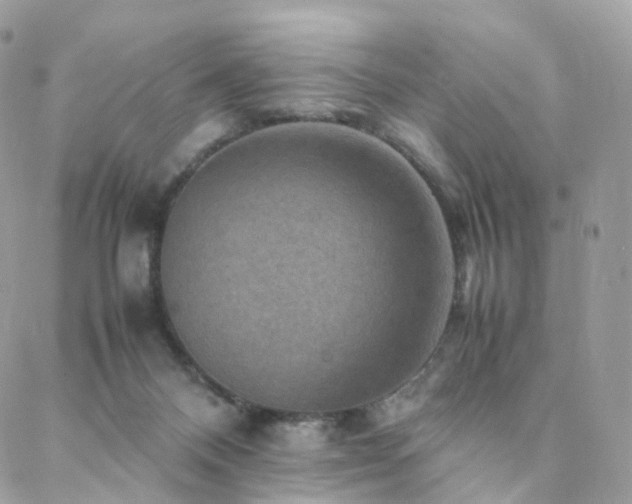 X0000088400120200705221132