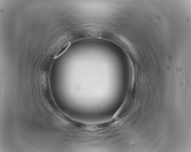 X0000088400121200705221132