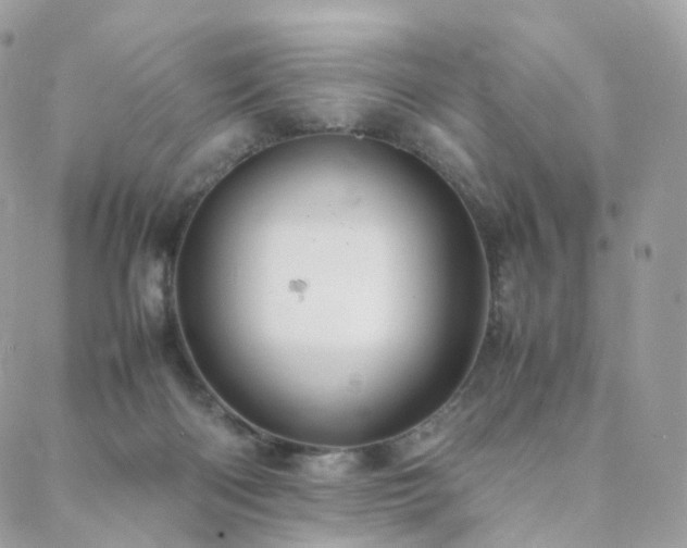 X0000088400122200705221132