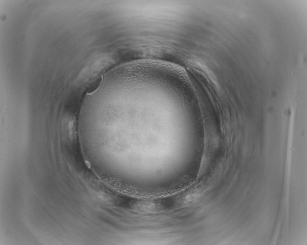 X0000088400123200705221132