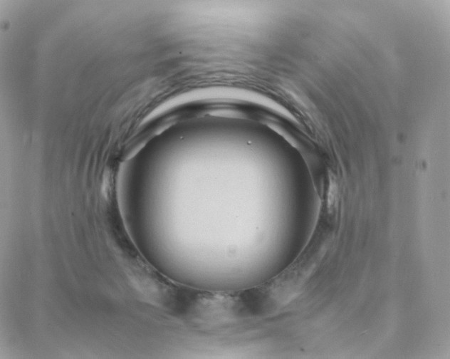 X0000088400125200705221132