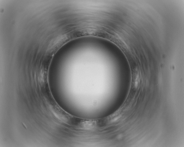 X0000088400126200705221132