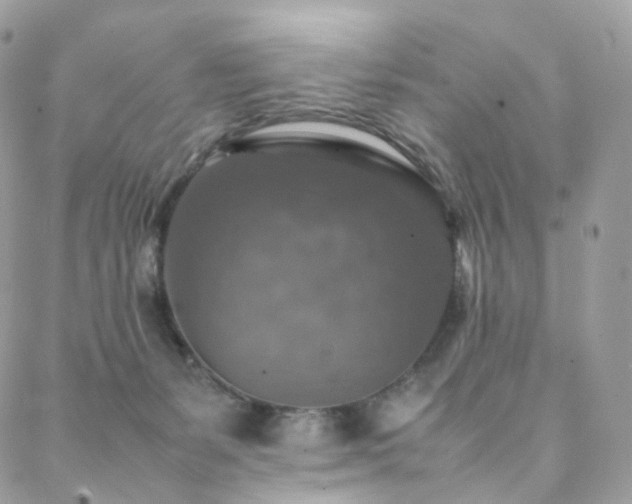 X0000088400127200705221132