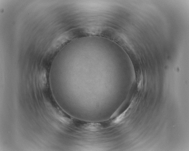 X0000088400128200705221132