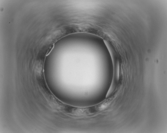 X0000088400129200705221132