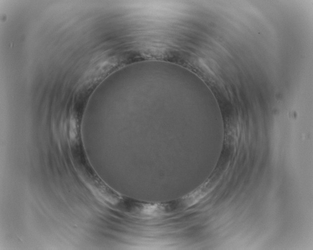 X0000088400130200705221132