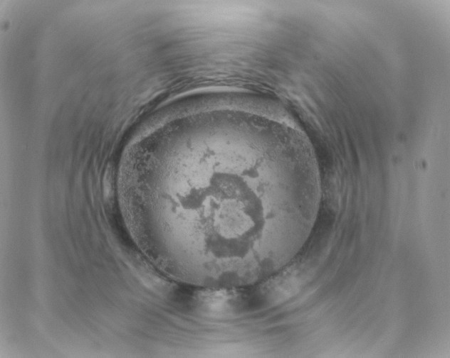 X0000088400131200705221132